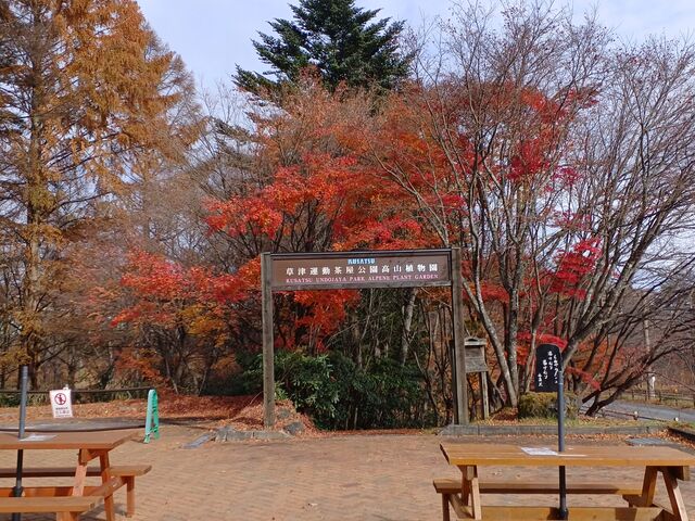 万座温泉から50分ほどで到着
*奥へ行くと各山・名所地への遊歩道が複数 有ります_運動茶屋公園