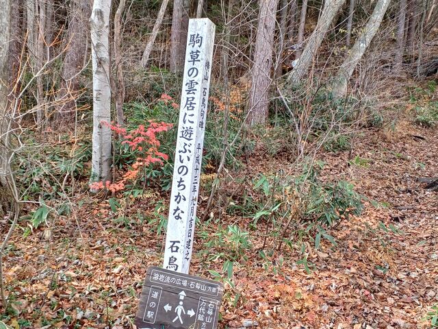 俳句の石碑が多く、石碑傍には
詠みやすいように楷書体が有るので助かります_運動茶屋公園