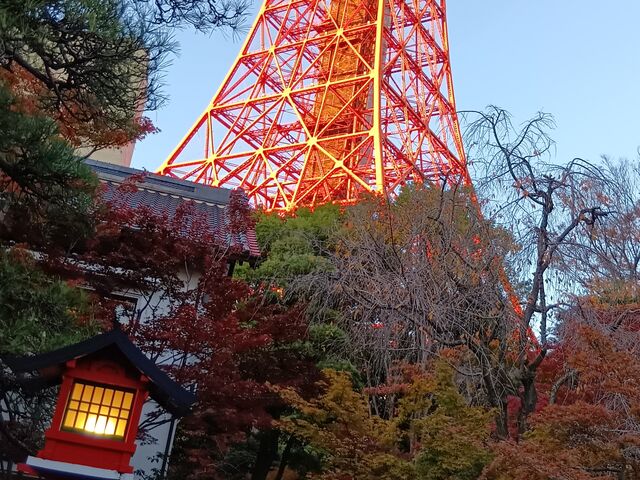 庭から東京タワー_とうふ屋うかい 東京芝店