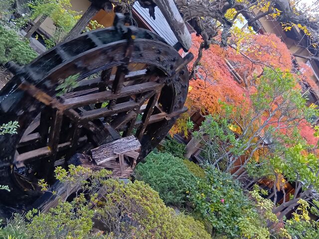 庭園水車_とうふ屋うかい 東京芝店