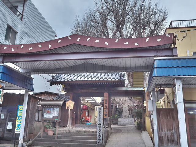 長府正円寺の大イチョウ_長府正円寺の大イチョウ