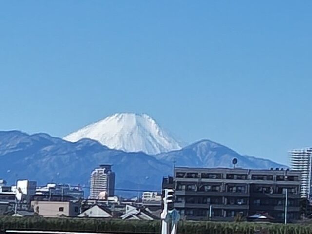 競馬場からの富士山_東京競馬場