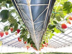 ミホラさんのgoone5への投稿写真1