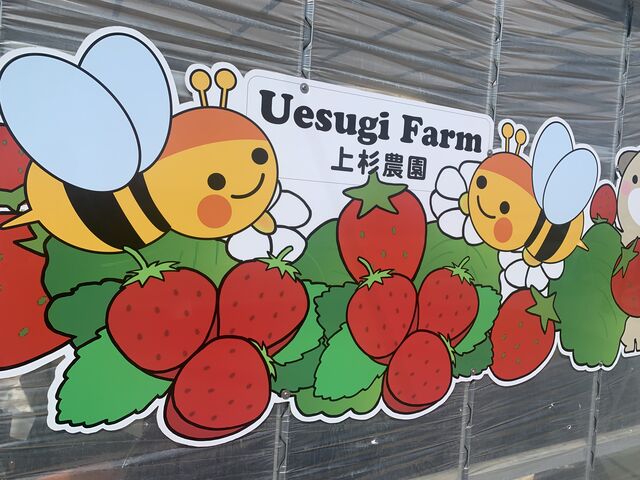 入り口前。_上杉農園
