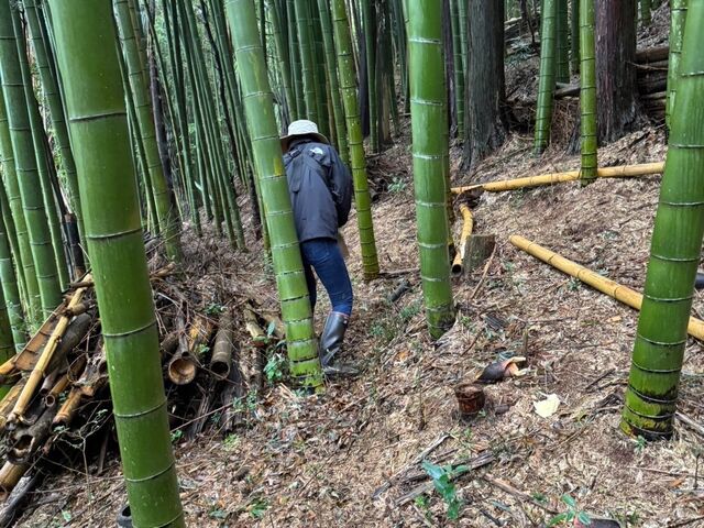 前日雨だったから掘りやすかったけど、長靴必須でした! _いとしまタケノコ園