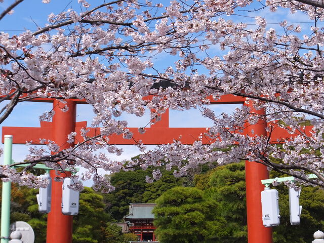 三の鳥居_段葛