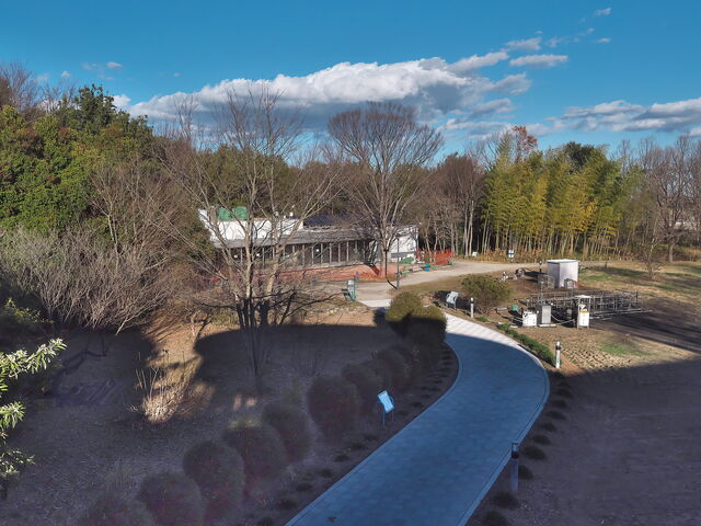 sklfhさんの種足ふれあいの森の投稿写真1