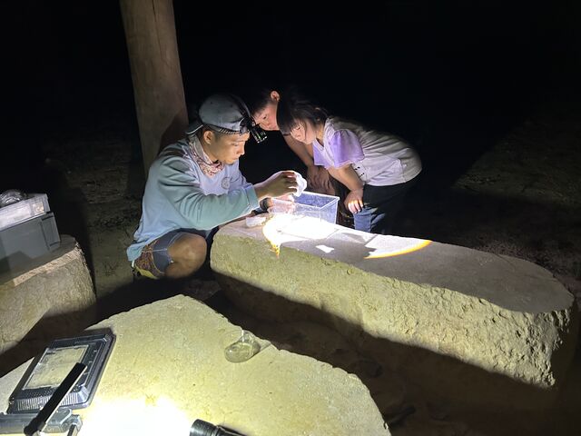 これから顕微鏡で見るよ。興味津々!_OKINAWA.NATURE.ASHIBI堂