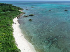 まほさんのSouth Blueへの投稿写真1