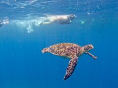 KHさんのSouth Blueへの投稿写真1