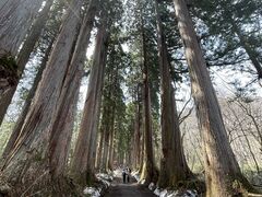 戸隠神社 奥社の写真2