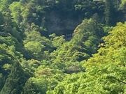 ハラさんの皆成院(宿泊施設併設)の投稿写真1