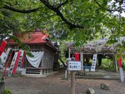 ゆん。さんの深山神社の大榧・大藤の投稿写真1