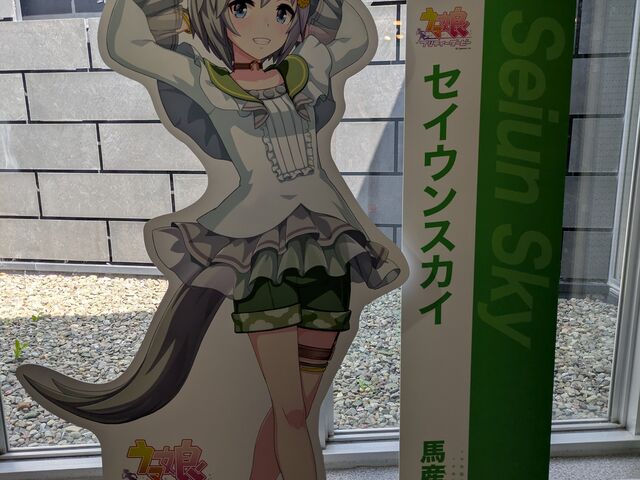 道の駅 むかわ四季の館