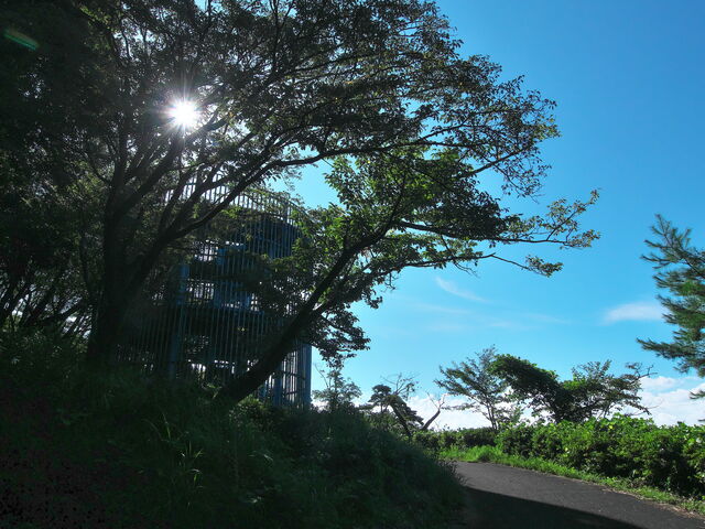 sklfhさんの富谷山ふれあい公園の投稿写真1