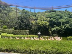宮崎市フェニックス自然動物園の写真1