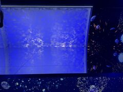 アクアワールド茨城県大洗水族館の写真3