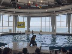 アクアワールド茨城県大洗水族館の写真4