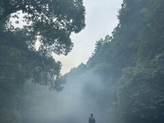 Verde大台ツーリズムの写真2