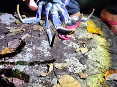 エイラクさんのOCEAN LIFEへの投稿写真1