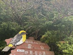 雲仙ロープウェイの写真2