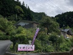 やどり温泉 いやしの湯の写真1