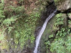 やどり温泉 いやしの湯の写真2