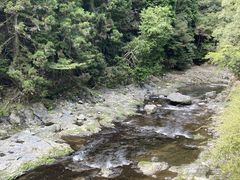 やどり温泉 いやしの湯の写真3