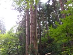 御岩神社の写真2