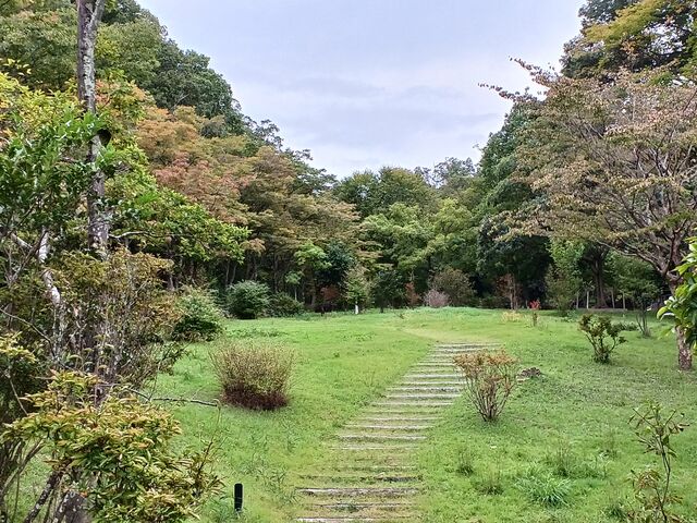 のりゆきさんの小鳥の森の投稿写真2