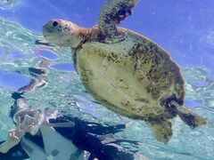 イェリンさんのOKIDOKIマリンツアー宮古島への投稿写真1