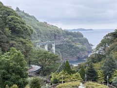 ACAO FORESTの写真1