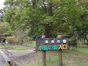 のりゆきさんの小鳥の森の投稿写真1