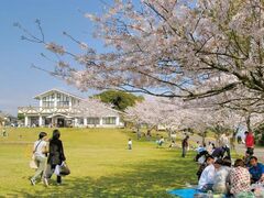 ブルーミミさんの魚見塚一戦場公園への投稿写真1