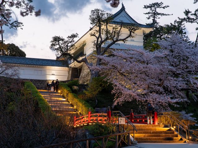 小田原城