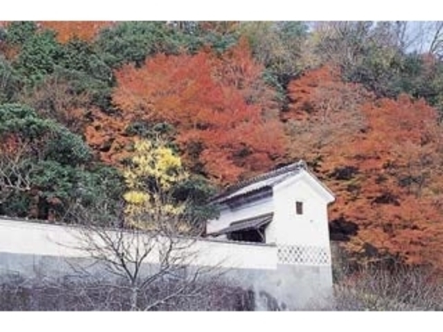 堀庭園/もみじの写真1