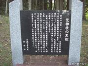 荒神社の黒松の写真2
