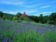 香木の森ハーブガーデンの写真1