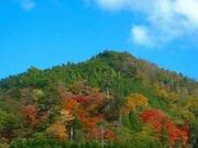 天神山/つつじの写真2