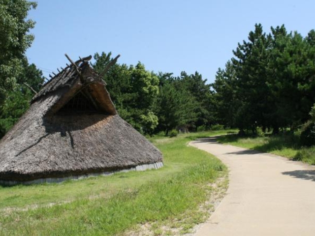 大中遺跡_大中遺跡