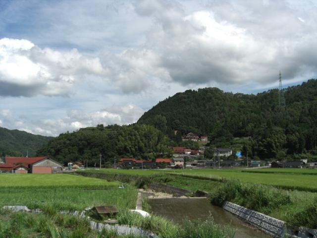 多治比猿掛城跡の写真1