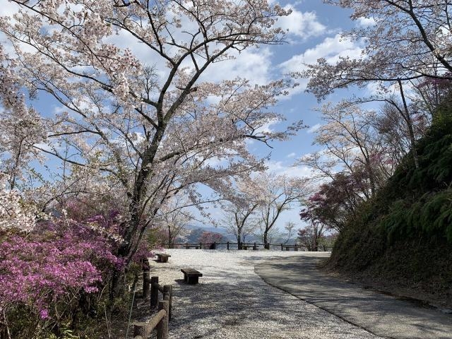波川玄蕃城跡の写真1