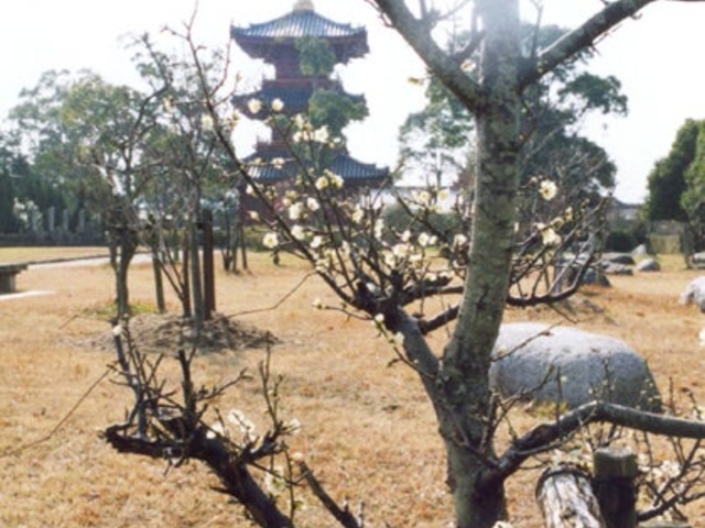 豊前国分寺跡_豊前国分寺跡
