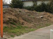 真野古墳群の写真2