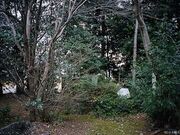 来迎寺一里塚の写真2