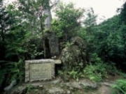 八鬼山桜茶屋一里塚の写真1