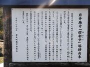 岩井廃寺塔跡(鬼の碗)の写真2