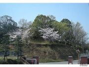 乗場古墳の写真1