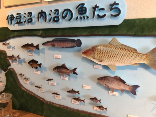 伊豆沼・内沼サンクチュアリーセンター