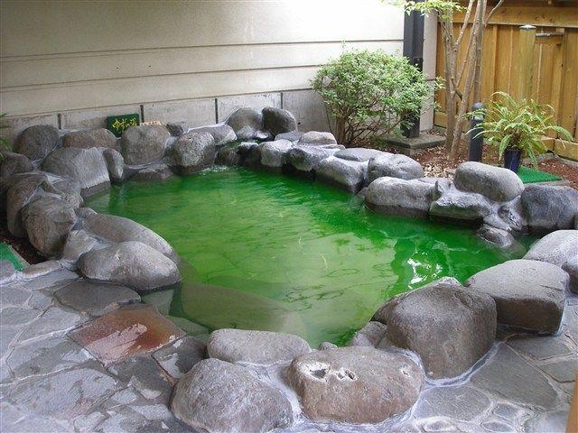 南伊豆町営温泉銀の湯会館